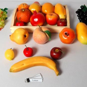 Models Fruits - Montessori Materials