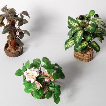 Models- Plants - Montessori Materials
