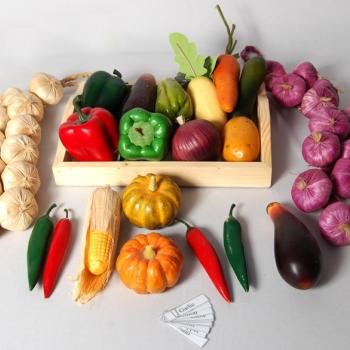 Models Vegetables