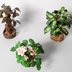 Models- Plants - Montessori Materials